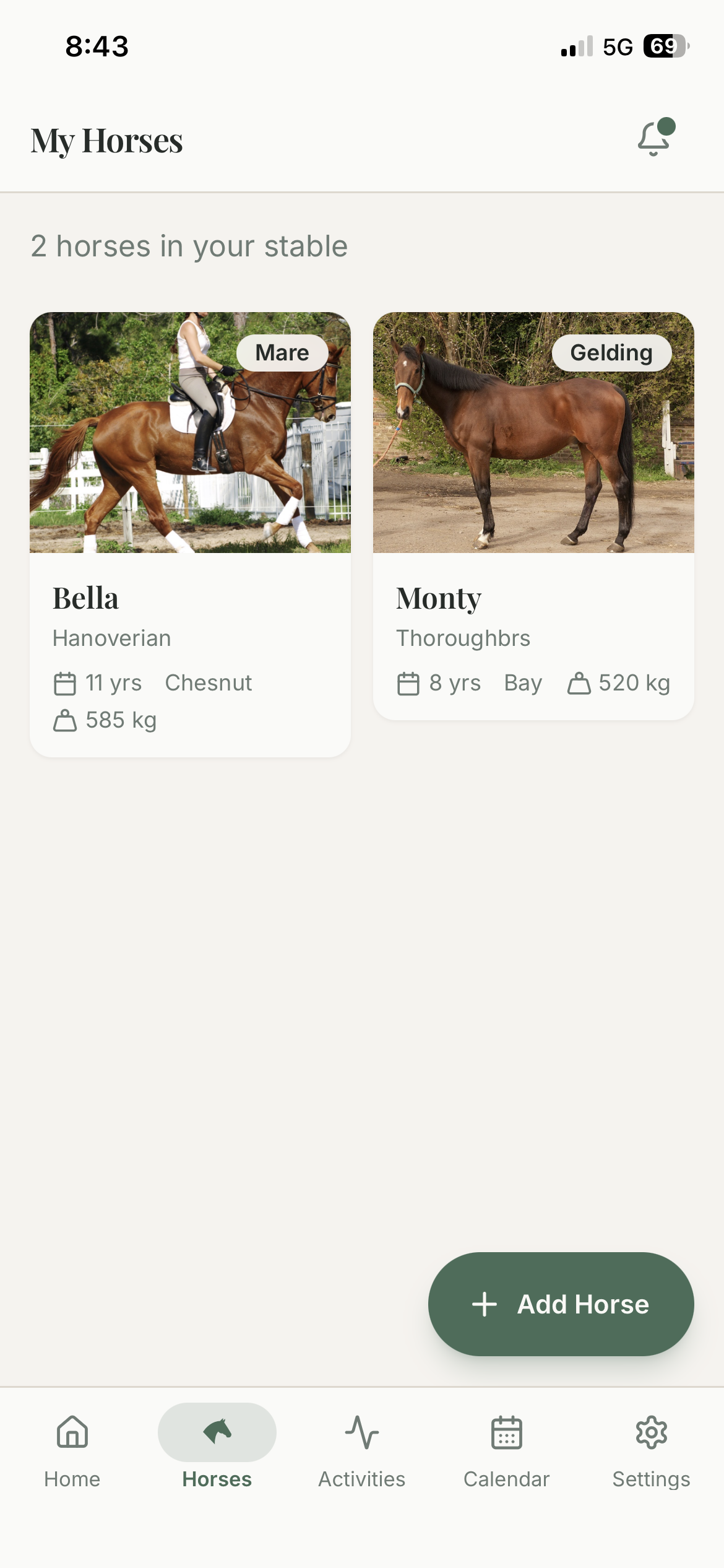 My Horses